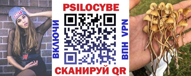 Псилоцибиновые грибы Psilocybine cubensis  закладки  Тарко-Сале 